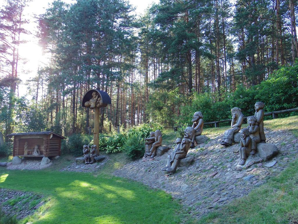 Chalet Villa REX Druskininkai Extérieur photo